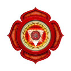 Root Chakra
